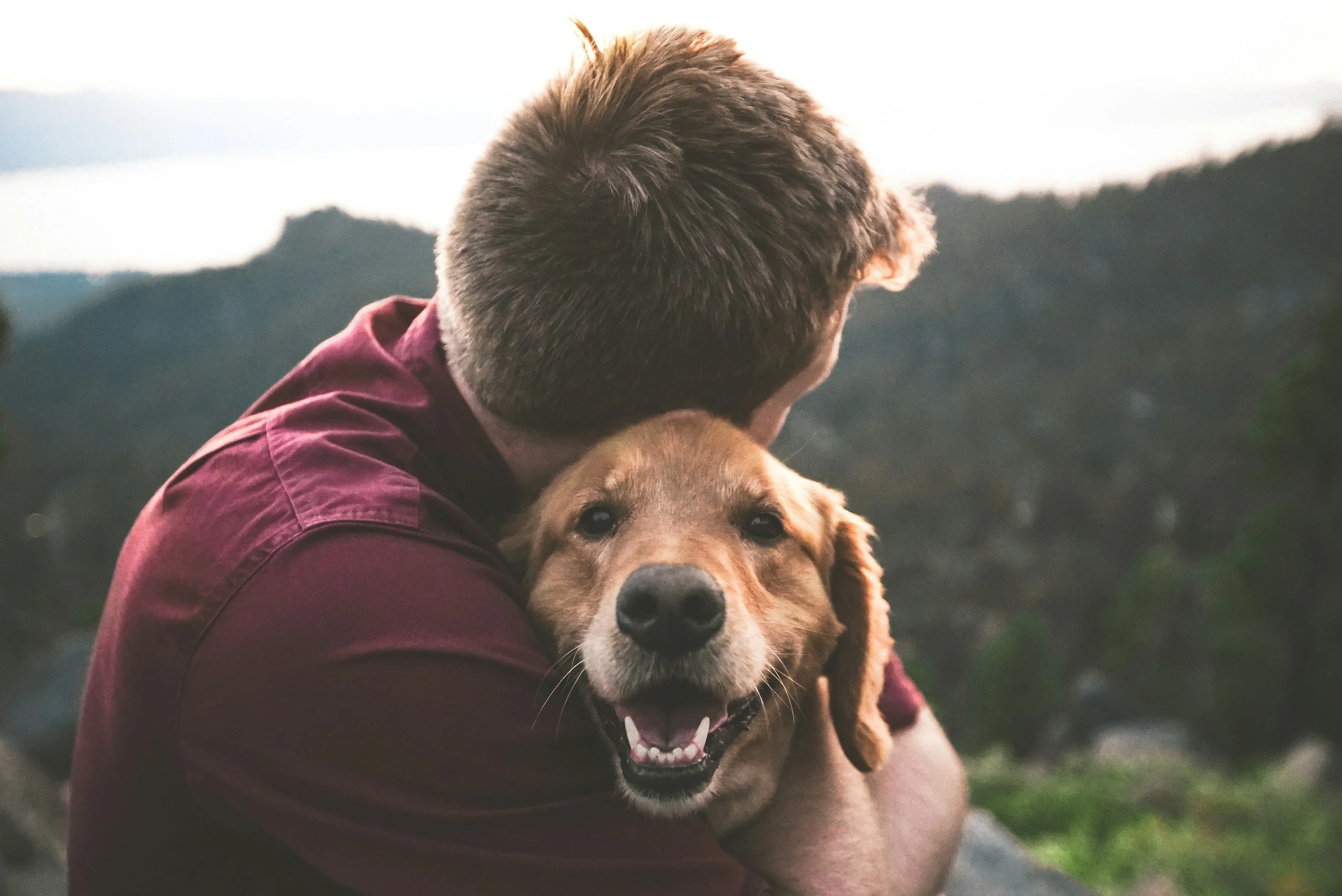 unsplash image ISg37AI2A s
